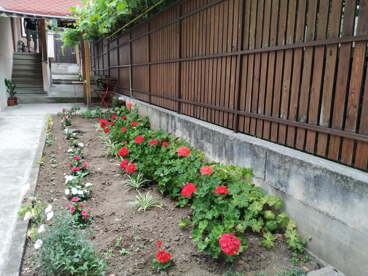 @ Home Велико Търново Екстериор снимка